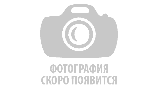 Шампиньоны